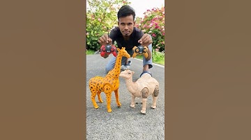 Duita RC Remote Wala Camel and Giraffe🦒unboxing🔥😛