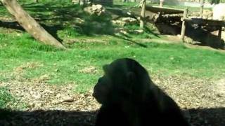 DSCF0944.AVI