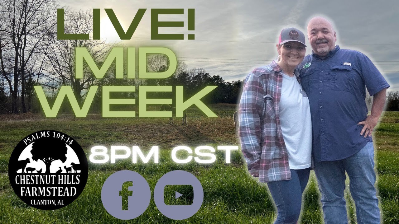 Wednesday Night Catch Up - YouTube