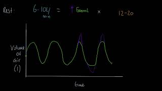 OCR A-level PE: Lung Volumes