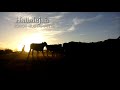 Jorge Bustamante - Halleluja (Aleluya) (Cover Audio)