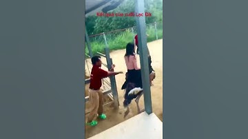 Nếu ai có ý định cưỡi đà điểu thì xem hết clip đây nhé (T1)