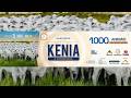 LEILÃO VIRTUAL FAZENDA KENIA E CONVIDADOS | 31/05/2026 – 14H