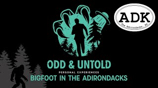 Bigfoot in the Adirondacks