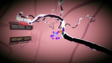 VEV: Viva Ex Vivo VR Edition - CSF leaderboard #1 run