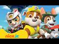 Patrulha Canina | Missões da Patrulha Canina fora da Baía da Aventura! | Nick Jr. em Português