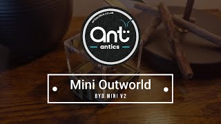 Mini Outworld  - Byd Mini -  Ant Antics - Build Guide