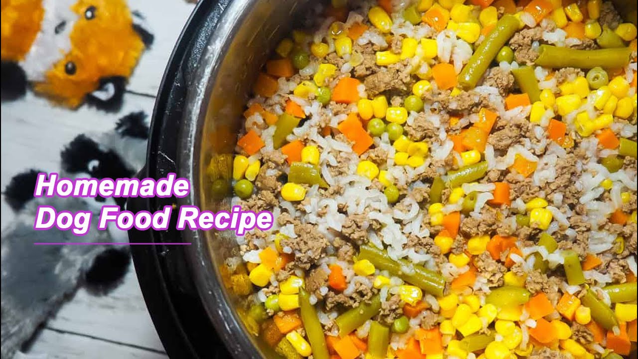 Homemade Dog Food YouTube