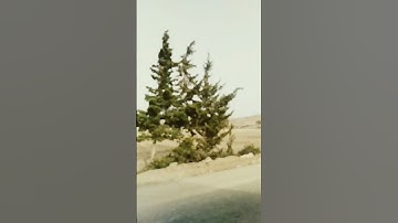 اللهم اجعل القرآن الكريم ربيع قلوبنا ونور صدورنا.