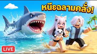 LIVE 18.00 น. | Surf And Rescue! ภารกิจช่วยสัตว์ทะเลสุดคิวท์ & สร้างฐานลับบนเกาะ 🐢🏝️ screenshot 2