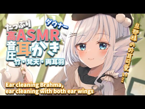 【ASMR EarCleaning】ダウナー小鳥にずっと耳かきで癒される【両耳 耳かきボイス 耳奥  ロールプレイ Japanese こりす 귀이개 แคะหู Чистка ушей】