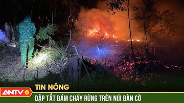 Hàng trăm người nỗ lực chữa cháy rừng trong đêm ở Nghệ An | ANTV