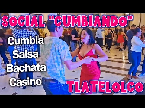 馃殌 Cool cat casino | Cash free spins in the comments