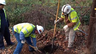APS linemen give an update from Long Island on Hurricane Sandy restoration efforts