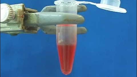 Isolation of CdSe Quantum Dot Nanoparticles