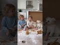Siblings blaming the doggos for the mess 🤣😂 #viralvideo #trending #shorts #reels #fyp #viralshorts