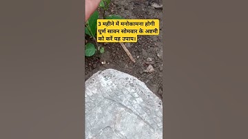 3 महीने में मनोकामना होगी पूर्ण सावन सोमवार के अष्टमी को करें यह उपाय। #katha  #pradeepmishrakeupay