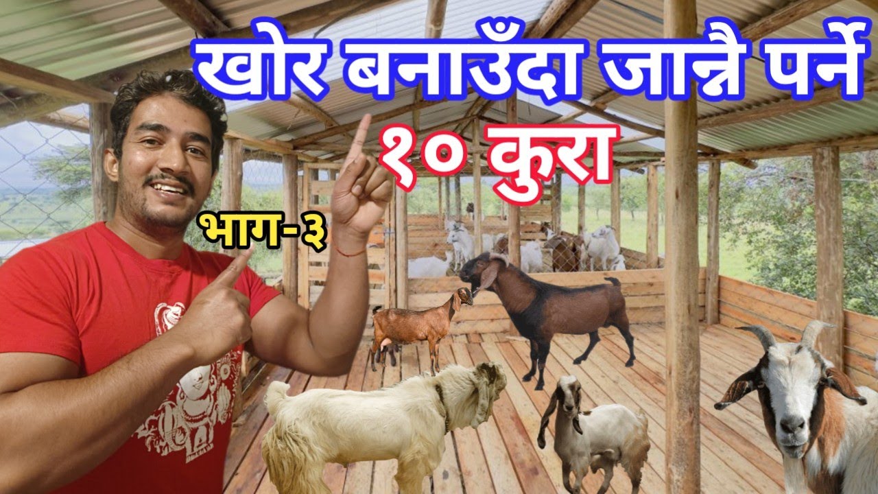 बाख्राको नयाँ खोर बनाउँनु अगाडी जान्नै पर्ने १० एकदमै जरुरी कुराहरू|| भाग-३