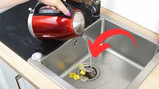 Don’t Throw Away Used Tea Bags. They Have a Hidden Purpose