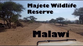 Experience Majete Wildlife Reserve - Malawi, Africa