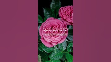 سورة البقرة سعد الغامدي الآية 285