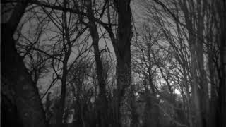 Aboriorth - Annihilation of an Emtpy Kingdom