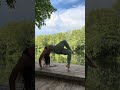 A little yoga, a deep breath, and a slow morning 🌿 #yogalife #morningflow #mindbodybalance #