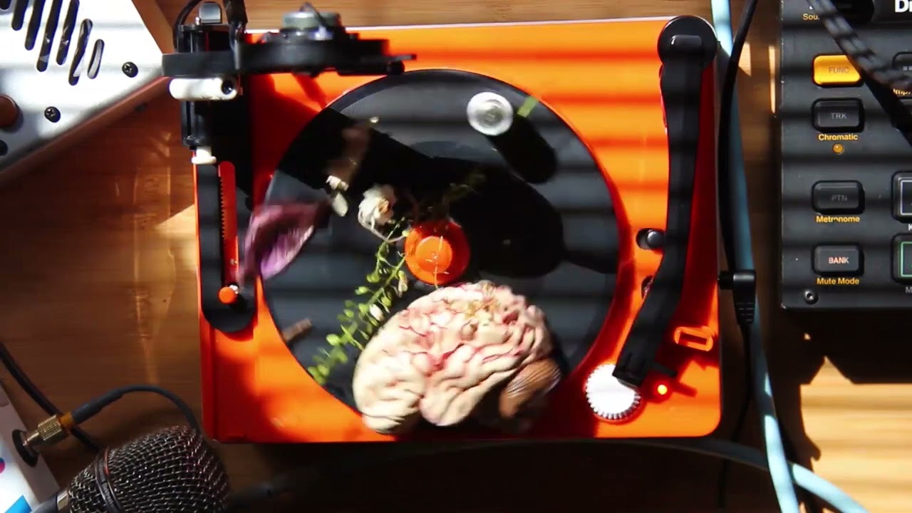 ambient casette / demo tapes / moog mavis,digitakt,song demo short film