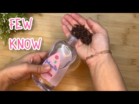 Video: Can You Grow A Clove Tree - Impormasyon Tungkol sa Clove Tree Growing Conditions