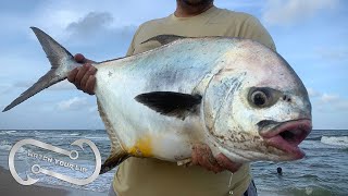 Permit Catch and Cook PLUS SOME ANATOMY - Trachinotus falcatus