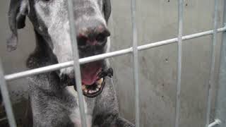 Canoga Park, Ca Thunder A1772890 051218