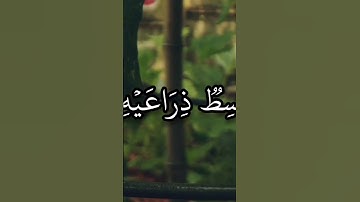 لا تنسوا قراءة سوره الكهف ♥️