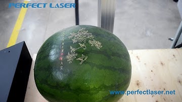 Perfect Laser co2 laser marking machine for marking on watermelon working video PEDB C30