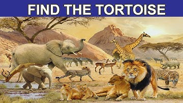 Find The Hidden Animal | Find The Different Emoji | Find The Number | Missing Circle | Multiple Game