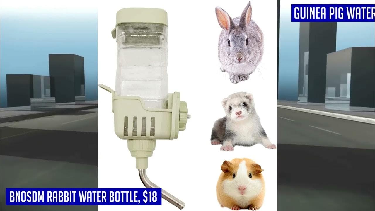 The Top 5 Rabbit water bottles YouTube
