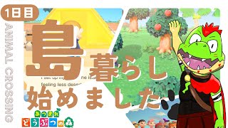 島暮らしはじめてみました【川鰐グラムのあつまれどうぶつの森実況】