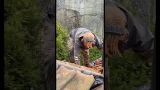 Apprentice cutting old roof tiles. #remodeling #renovation #carpenter #diy #roofing #framing