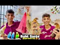New cage ka liye Khubsurat Birds And Animal Leliye😍 Vip Pets