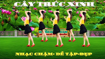 CÂY TRÚC XINH/ NHẠC CHẬM- CÙNG HƯỚNG DỄ TẬP PHÙ HỢP MỌI LỨA TUỔI ( BIÊN ĐẠO : NGÂN HÀ)