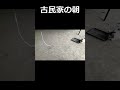 古民家の朝　都会暮らしをやめて山奥で古民家暮らしを始めた34歳無職　ガスなし　貯金０の男　#ネコ　#野良猫　#古民家　#田舎　#古民家暮らし　#田舎暮らし　#田舎移住　#猫