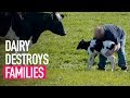 Dairy Destroys Families