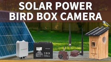 DIY Solar Power for Bird Box Cameras | Long Range Wireless Setup Guide
