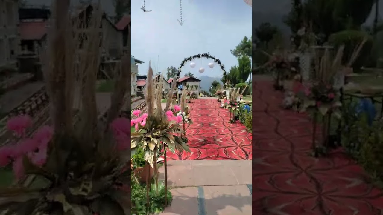 destination wedding Jungle theme decorate🪴🍀