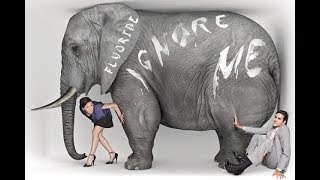 Dental Fluorosis is Out of Control, Media Missing the Elephant in the Room