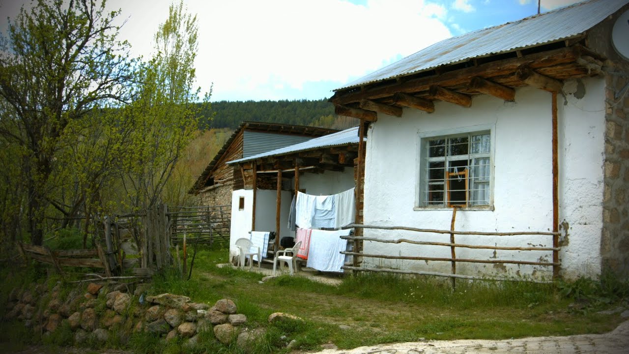 GİRESUN ALUCRA AKÇİÇEK KÖYÜ 2