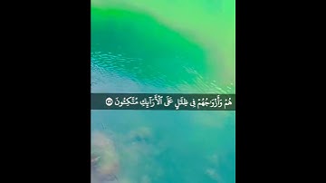 إِنَّ أَصْحَابَ الْجَنَّةِ الْيَوْمَ فِي شُغُلٍ فَاكِهُونَ - القارئ أحمد النفيس 🌿💚