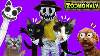 ZOOKEEPER DE ZOONOMALY se lleva a los gatitos Luna y Estrella en la vida real / Videos de gatos