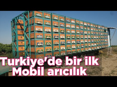 Yeni sistem modern tır üstü mobil arıcılık