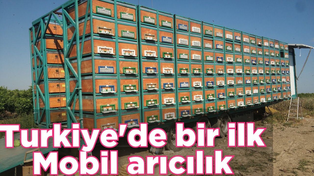 Новая система современного навесного мобильного пчеловодства