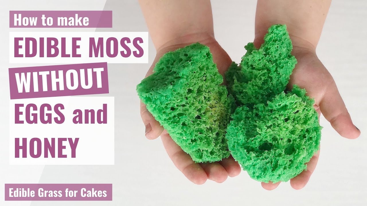 Edible Moss-Woodland Cake